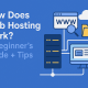 How Does Web Hosting Work? image